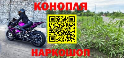 сатива Малгобек
