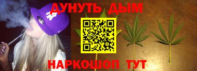 сатива Малгобек