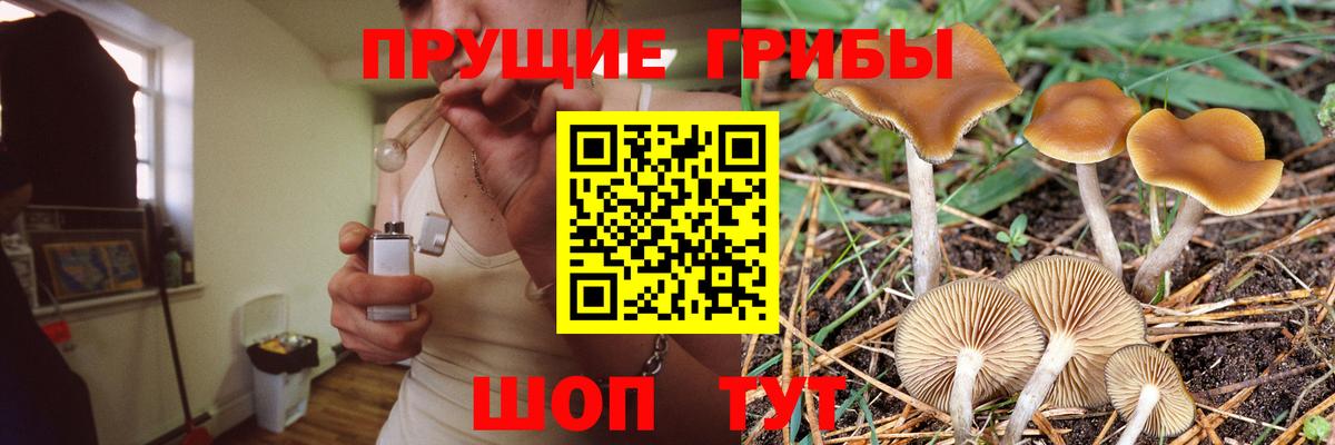 Владивосток  Галлюциногенные грибы MAGIC MUSHROOMS  Вход с VPN 